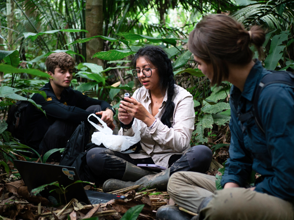 Haz un voluntariado internacional junto a organizaciones como gvi, ivhq, african impact, the green lyon o ioi. ¡Explora el mundo en el exterior! 